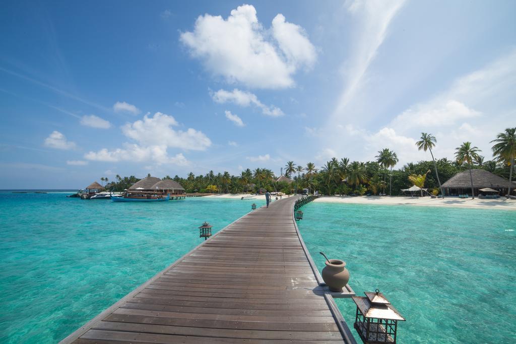 คอนสแต้นส์ ฮาลาเวลี่ Hotel Alif Alif Atoll ภายนอก รูปภาพ